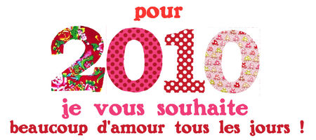 voeux_2010