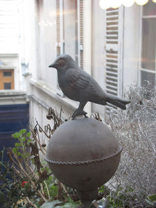 oiseau