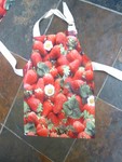 dscf00345