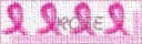 bouton_rose